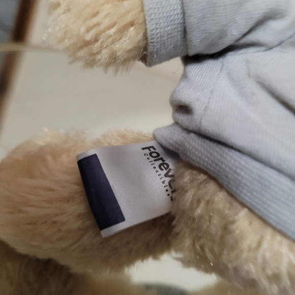 Forever Collectibles Boston Red Sox 8" Plush Bear With Hoodie and Tags - Picture 3 of 5